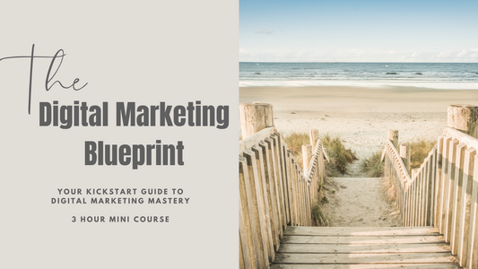 The Digital Marketing Blueprint MRR/PLR