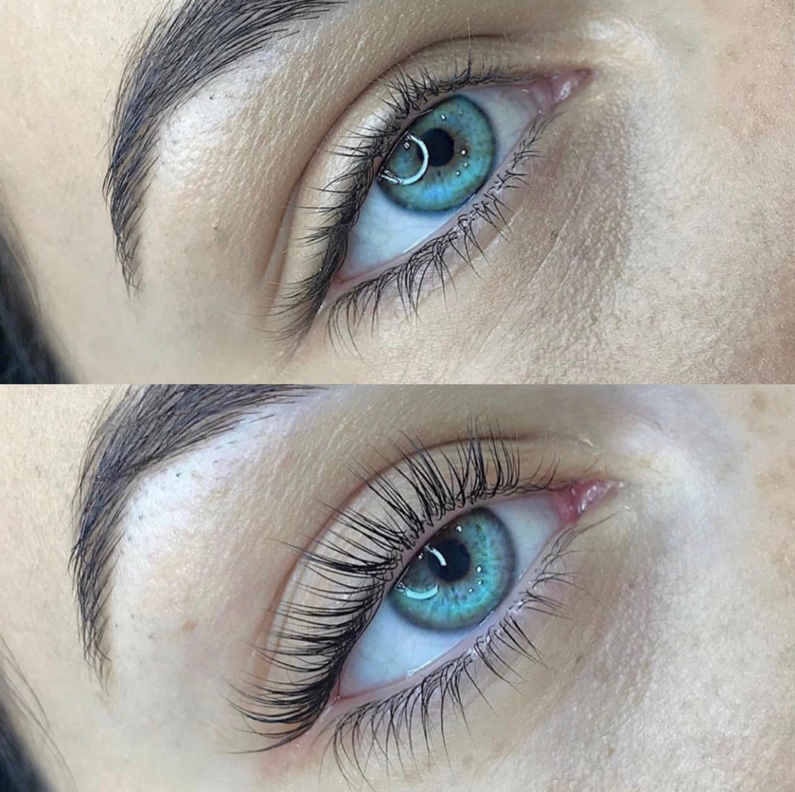PWRDlash lift + Brow Wax