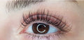 PWRDlash lift + Brow Wax